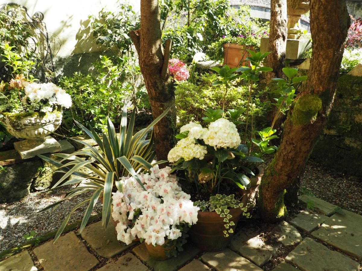 Casa Ella Bed & Breakfast Bagni di Lucca Exterior photo